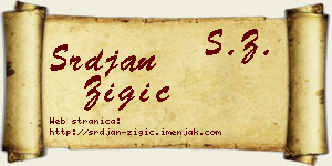 Srđan Žigić vizit kartica